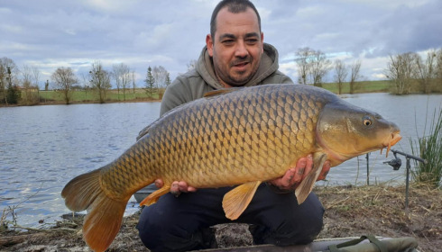 A carp from Le Sauci, Dec 2025