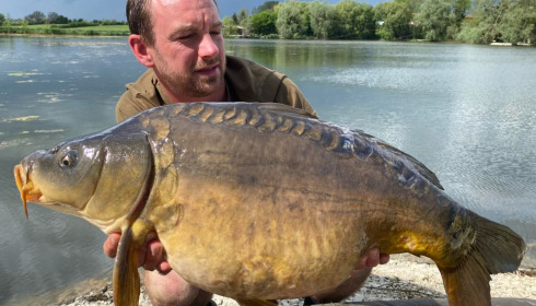 A carp from Le Sauci, Dec 2025