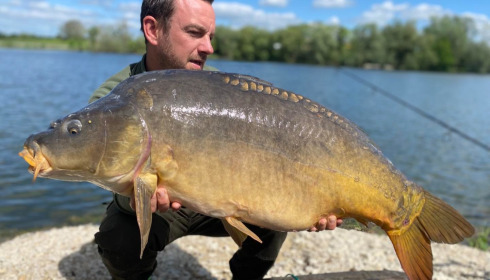A carp from Le Sauci, Dec 2025