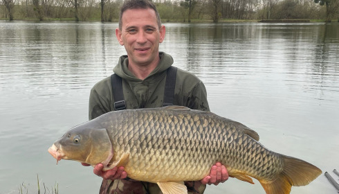 A carp from Le Sauci, Apr 2026