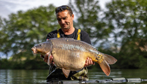 A carp from Plump Lake, Sep 2026