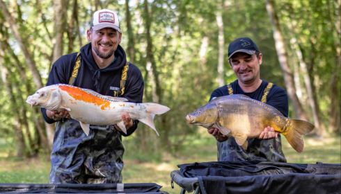 A carp from Plump Lake, Sep 2026