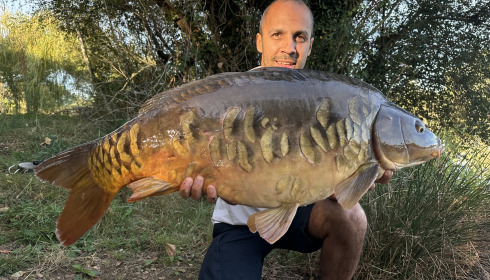 A carp from Laroussi, Sep 2026