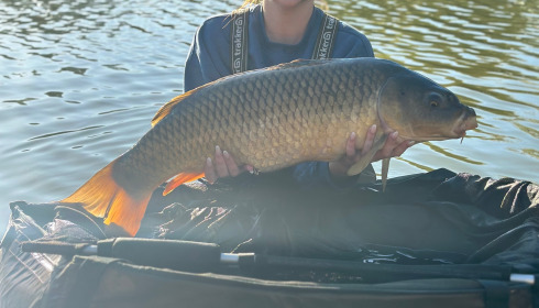 A fish from Lillypool, Demi, Apr 2025