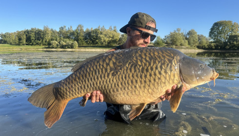 A 34 lb 3 oz carp from Beaurepaire, Ashley’s 34.3 common, Sep 2026