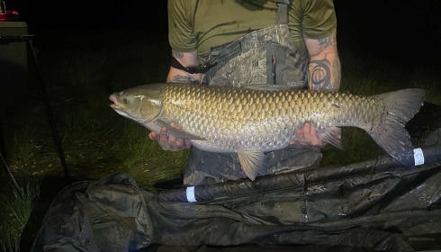 A 30 lb 4 oz grass carp from Beaurepaire, Grass carp, May 2026