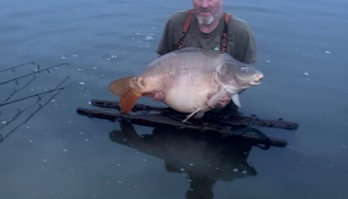 A 51 lb 12 oz carp from Beaurepaire, Double tigernut with popup corn, Jun 2026