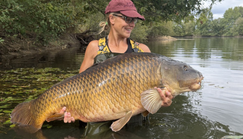 A 71 lb 15 oz carp from Old Oaks, 71 lb long common a new PB, Sep 2026