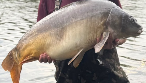 A 43 lb carp from Old Oaks, Aug 2026