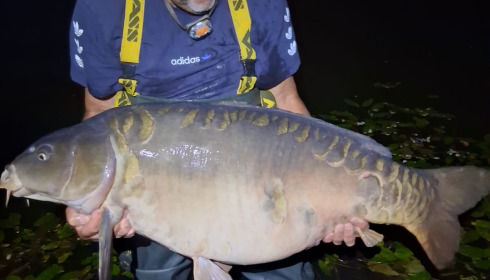 A 60 lb 7 oz carp from Old Oaks, Rick Hurtado, Sep 2026