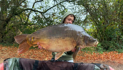 A carp from Villefond, Aug 2026