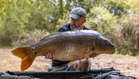A carp from Villefond, Aug 2026