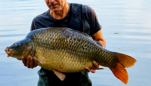 A 35 lb carp from Villefond, Scottie H, Aug 2026