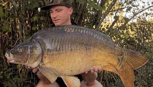 A carp from Villefond, Aug 2026