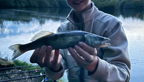 A fish from Villefond, Reuben, Apr 2025