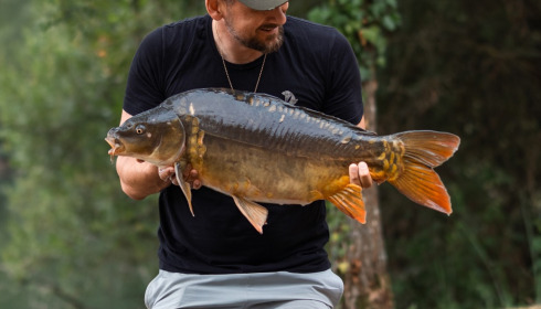 A carp from Villefond, Aug 2026