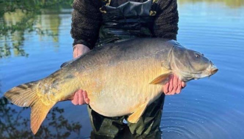 A 52 lb carp from Villefond