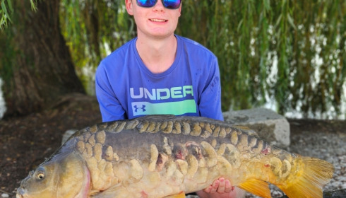 A carp from Vincons, Aug 2026