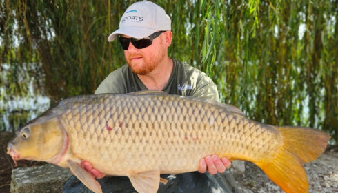 A carp from Vincons, Aug 2026
