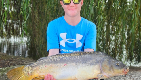 A carp from Vincons, Aug 2026