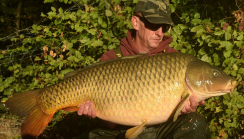 A carp from Boux, Sep 2026