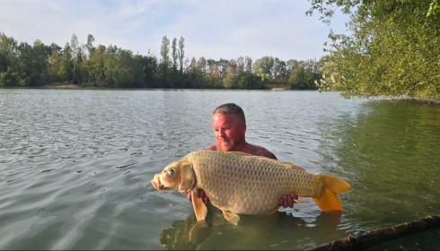 A carp from Blue Lake, Oct 2026