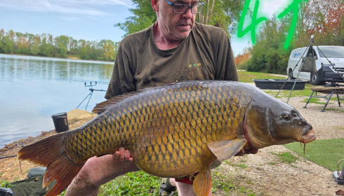 A 47 lb carp from Blue Lake, Sep 2026
