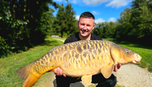 A carp from Jonchery, Sep 2025