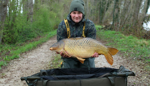 A carp from Jonchery, Mar 2026