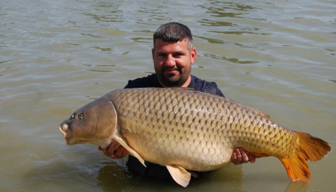 A carp from Jonchery, Jul 2026