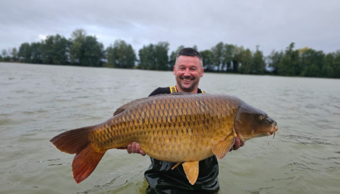 A carp from Jonchery, Sep 2025