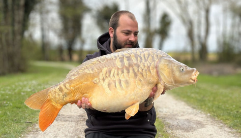 A carp from Jonchery, Apr 2026