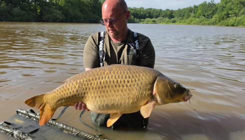 A carp from Jonchery, Jul 2026