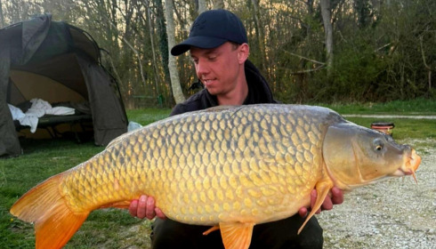 A carp from Jonchery, Mar 2026