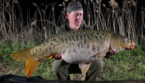 A carp from Jonchery, Apr 2026
