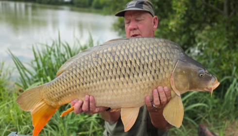 A carp from Jonchery, Aug 2026