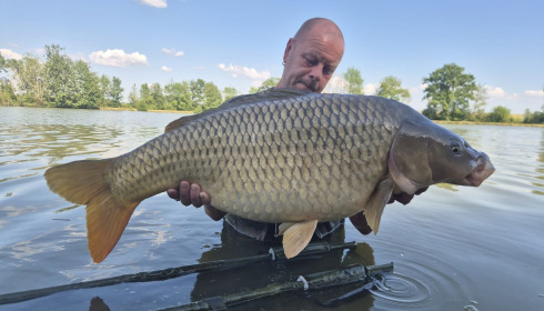 A carp from Jonchery, May 2026