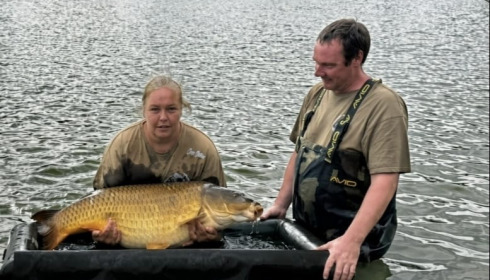 A carp from Jonchery, Aug 2026