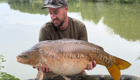 A carp from Jonchery, May 2026
