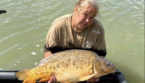 A carp from Jonchery, Aug 2026