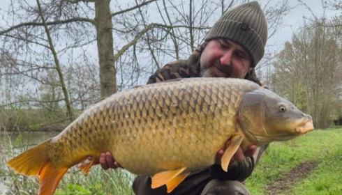 A carp from Jonchery, Apr 2026