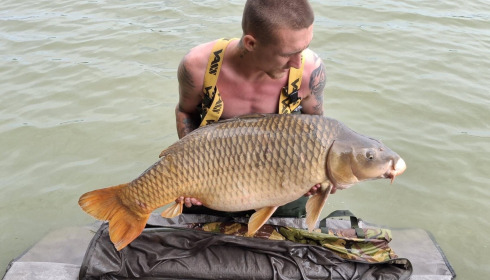 A carp from Jonchery, Jul 2026