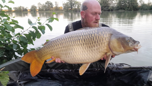 A carp from Jonchery, Aug 2026