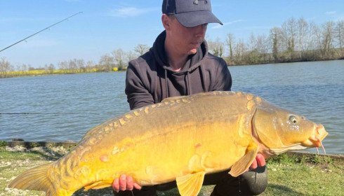 A carp from Jonchery, Mar 2026