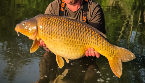 A 29 lb 12 oz carp from Jonchery, May 2026