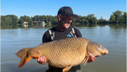 A carp from Jonchery, Sep 2025