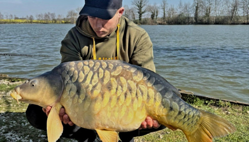 A carp from Jonchery, Mar 2026