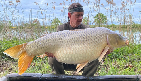 A carp from Jonchery, Apr 2026