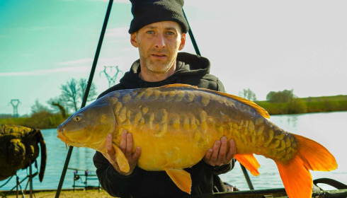 A carp from Jonchery, Mar 2026