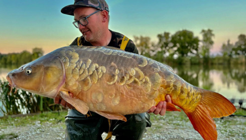 A carp from Jonchery, Sep 2025